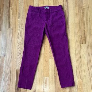 Women’s Magenta Pixie Pants